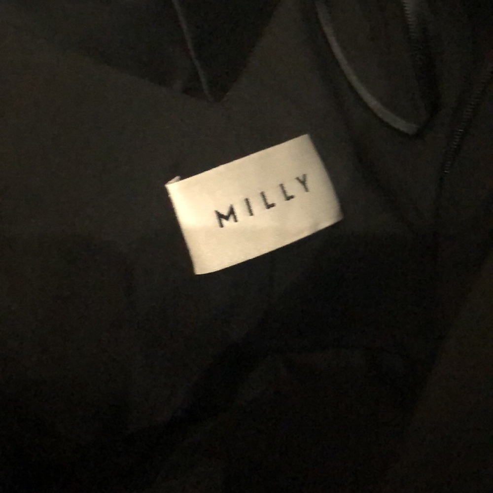 MILLY SAMPLE DRESS - Picture 4 of 4